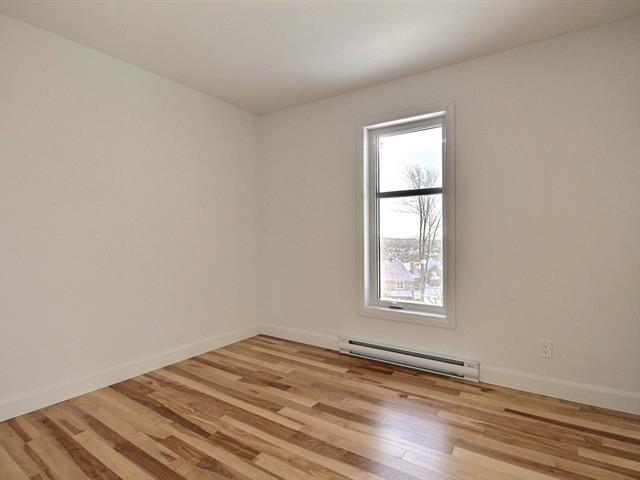 Rue Guy-linteau Property Photo 19