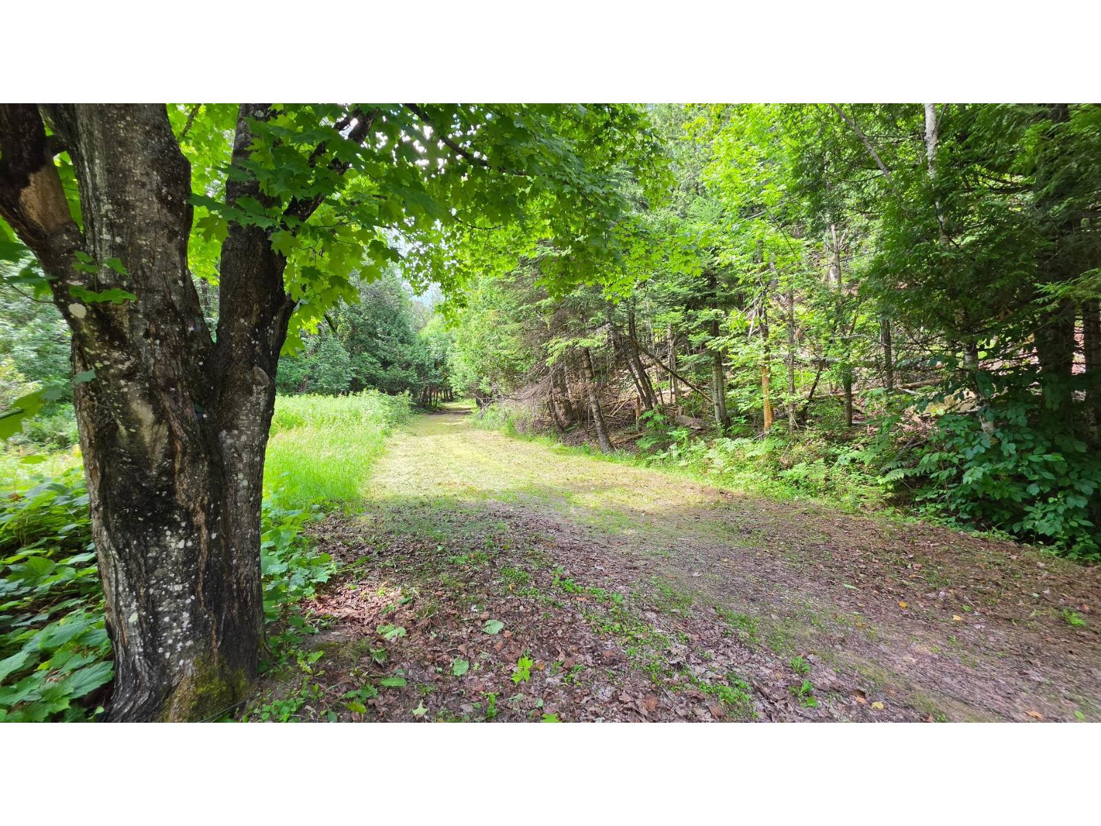 86 Ch. Simms E. Property Photo 15