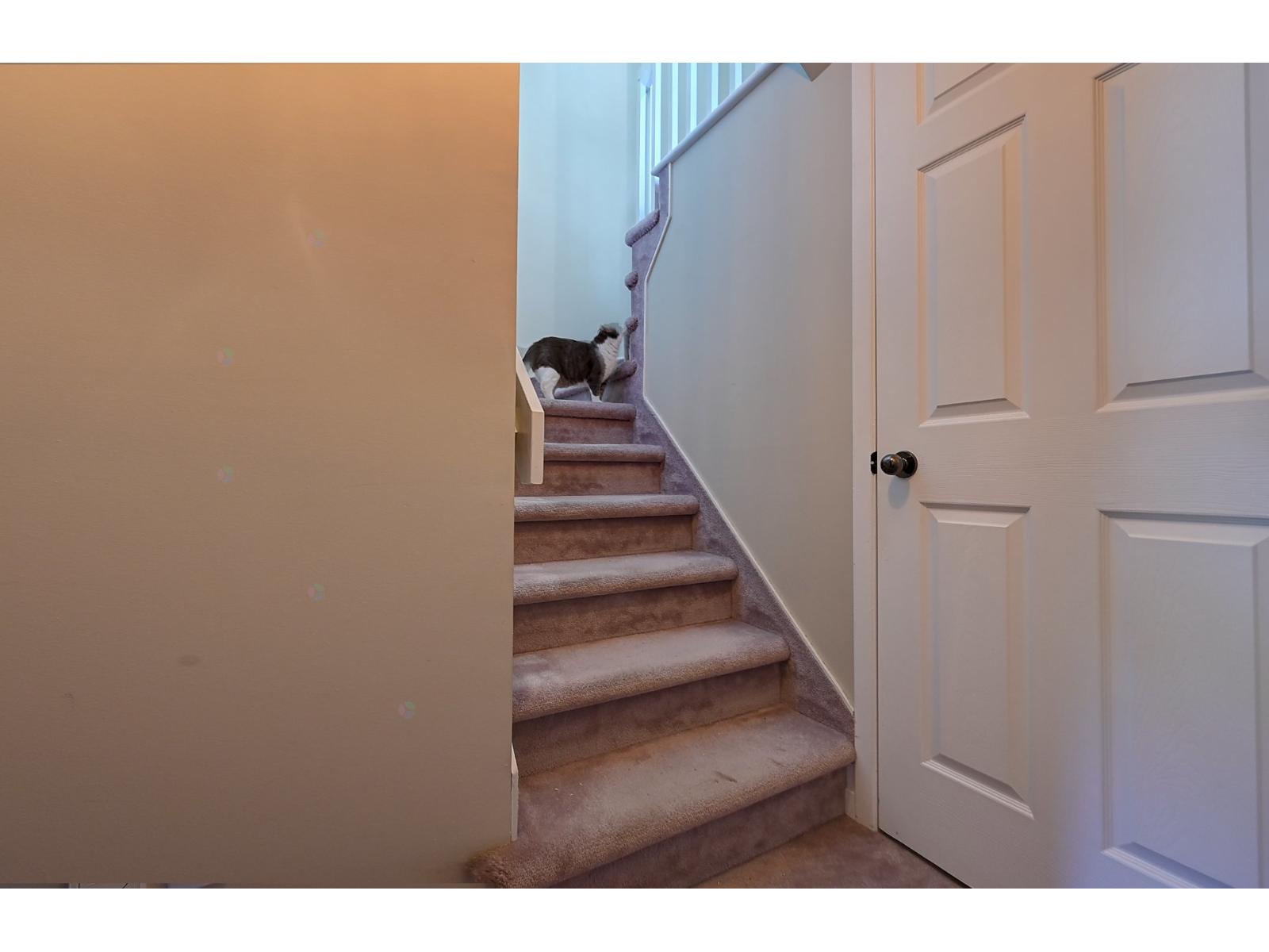 1325 Rue Gaby-dénommé Property Photo 29