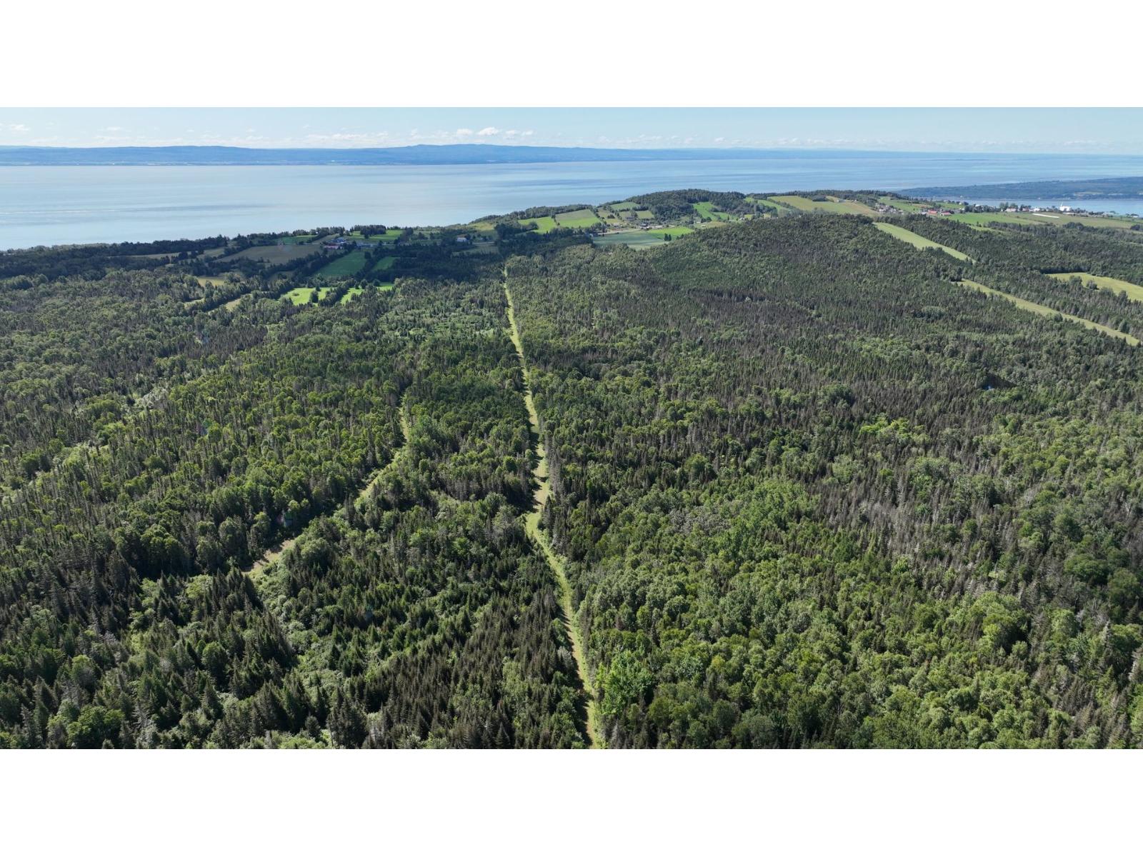 2688-2700 Route Du Fleuve Property Photo 65