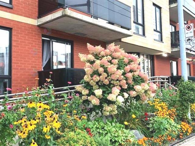 3700 Boul. Henri-bourassa E., #102 Property Photo 10