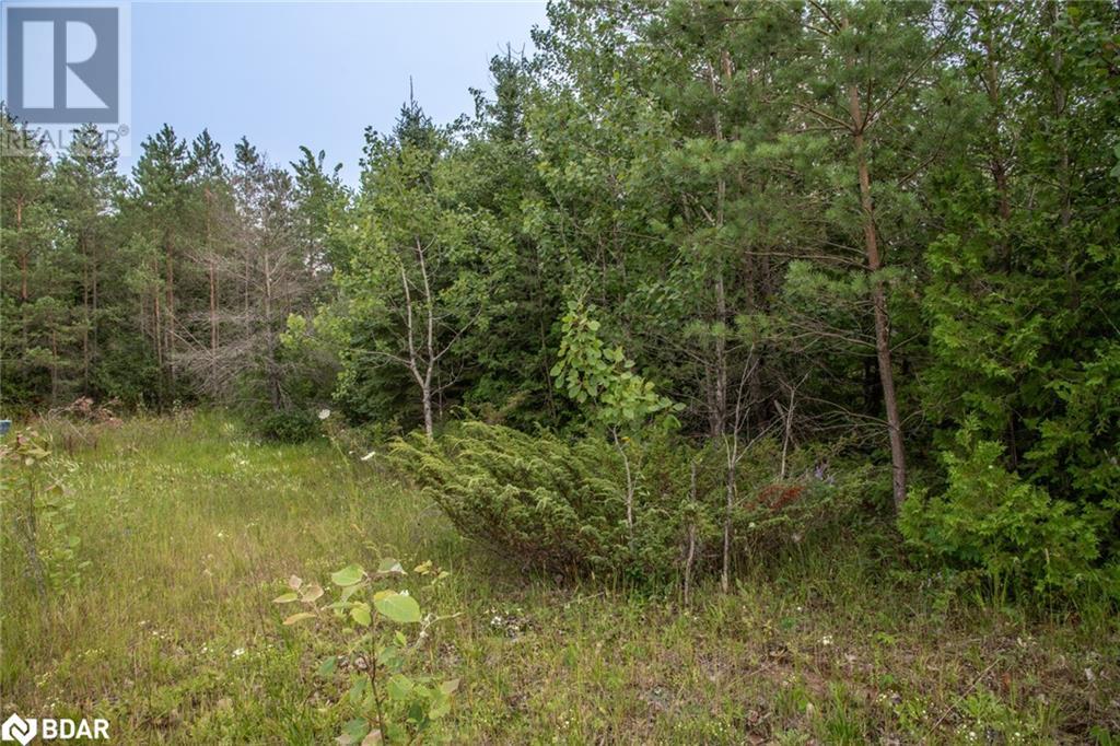 Lot 250 Mcguire Beach Road Property Photo 2