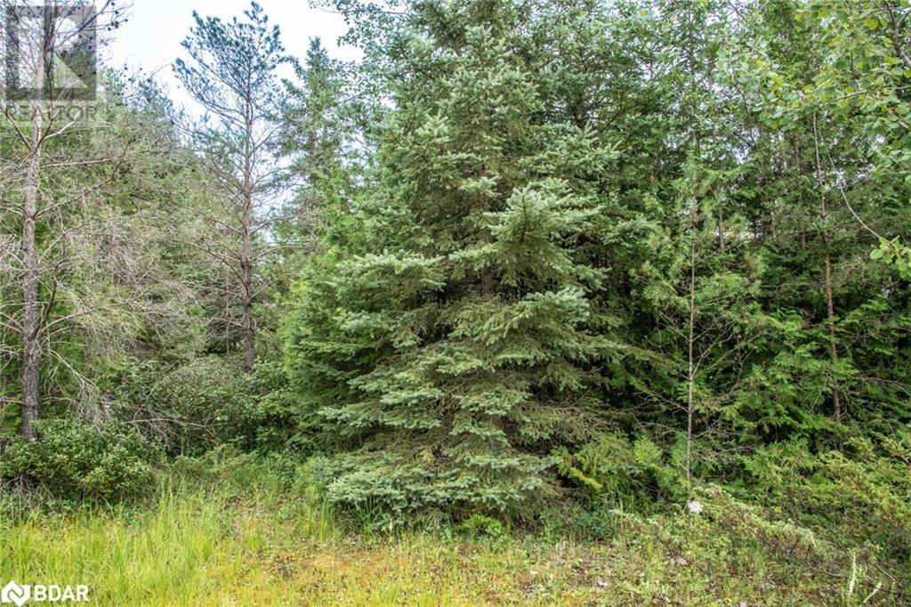 Lot 250 Mcguire Beach Road Property Photo 4
