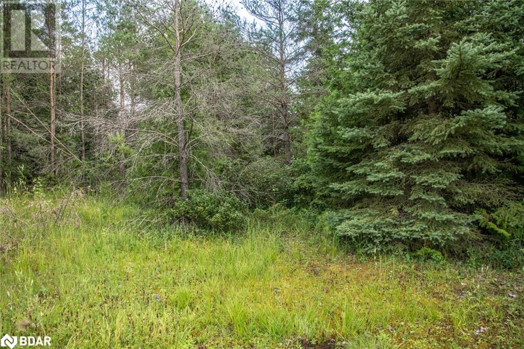Lot 250 Mcguire Beach Road Property Photo 5