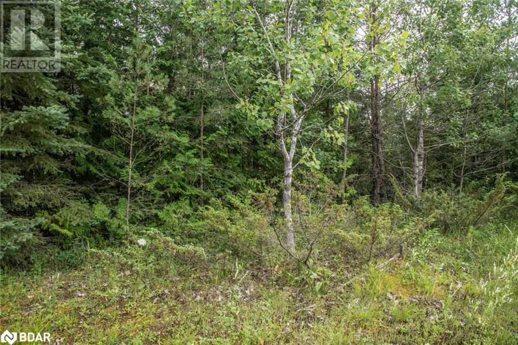 Lot 250 Mcguire Beach Road Property Photo 9