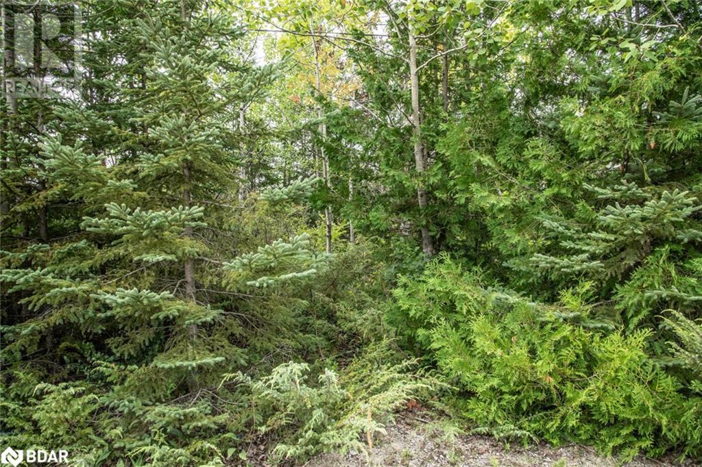 Lot 250 Mcguire Beach Road Property Photo 10
