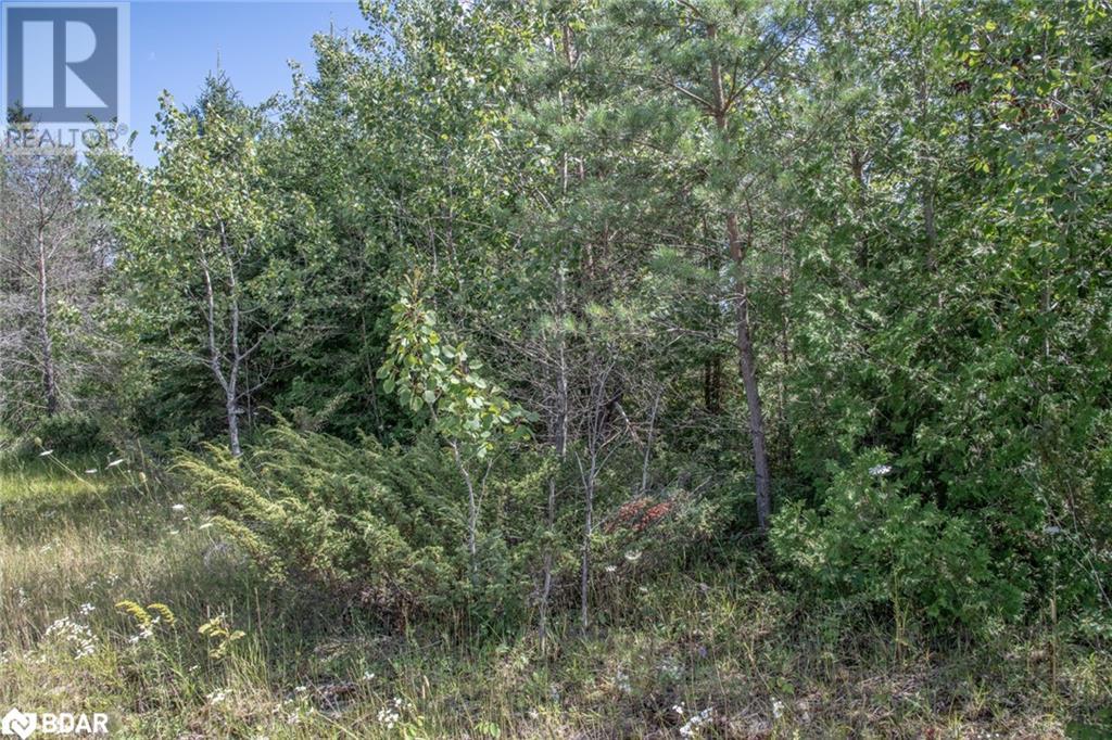 Lot 250 Mcguire Beach Road Property Photo 13