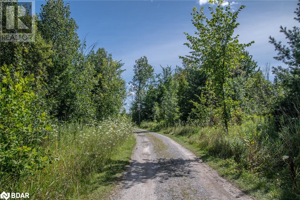 Lot 250 Mcguire Beach Road Property Photo 18