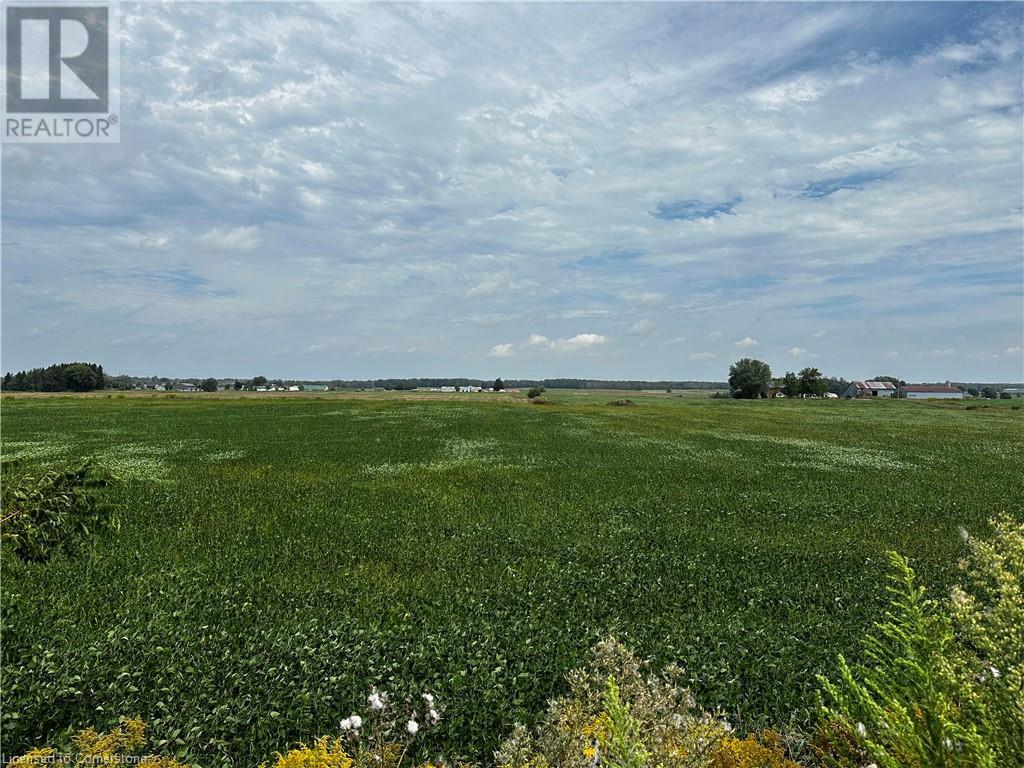1050 WALTON Avenue Property Photo 1