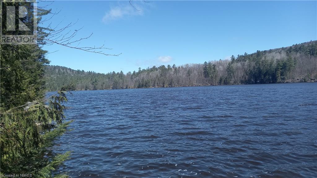 1261 Snake Creek Road Property Photo 4