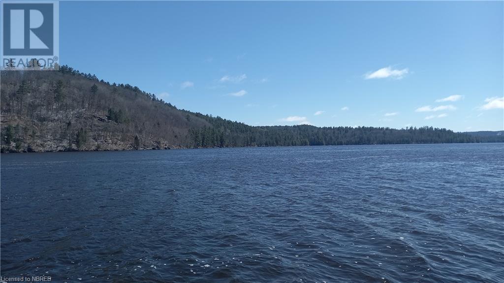 1261 Snake Creek Road Property Photo 6