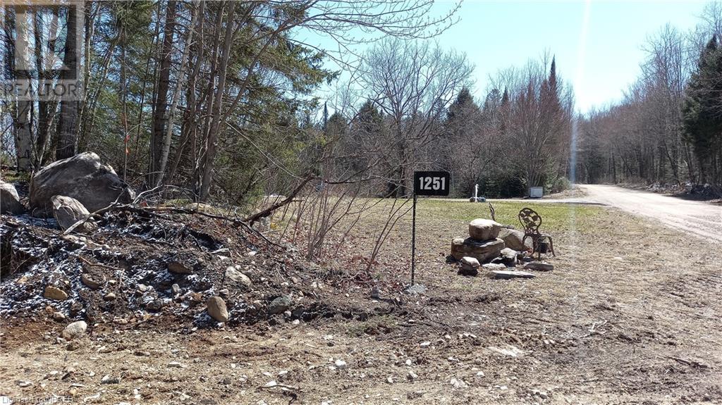 1251 Snake Creek Road Property Photo 2