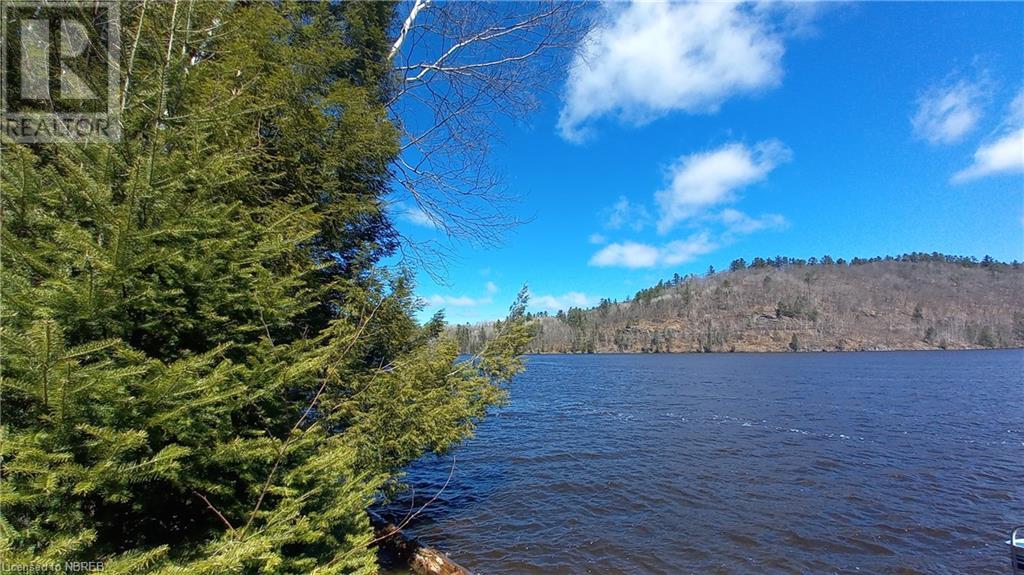 1251 Snake Creek Road Property Photo 4