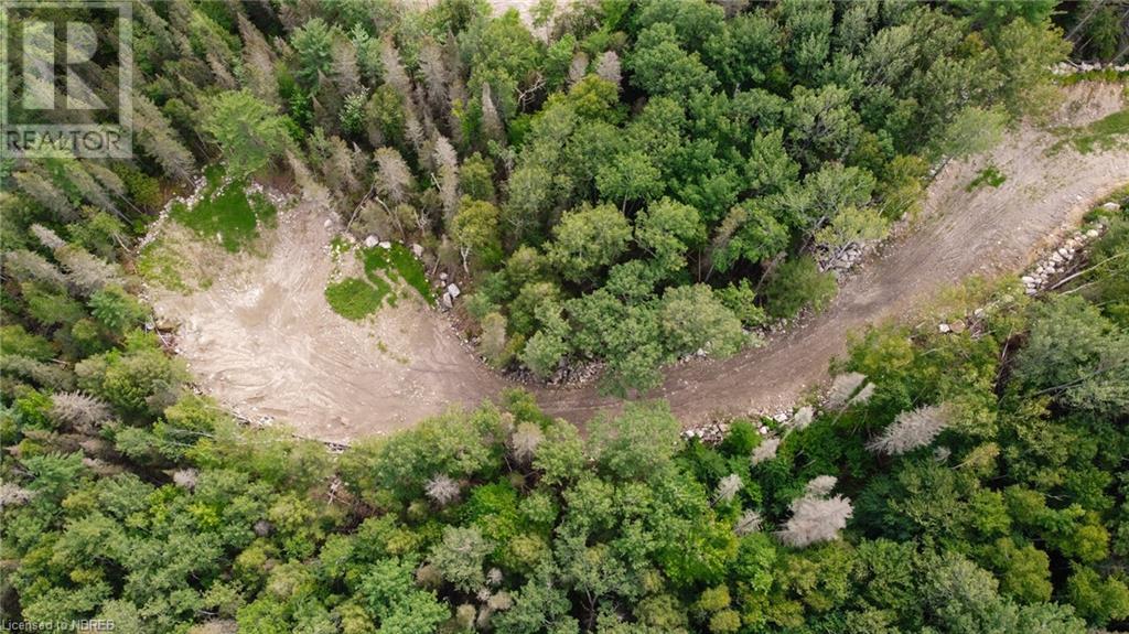1251 Snake Creek Road Property Photo 13