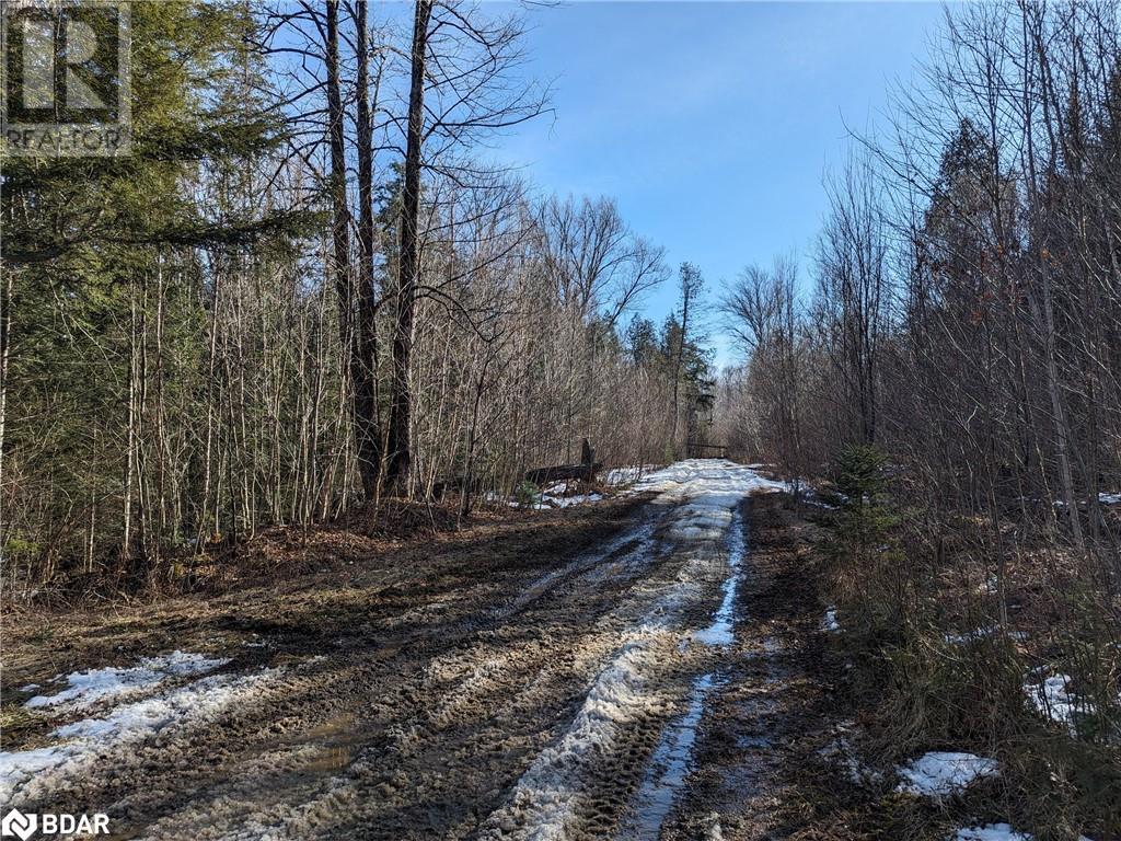 11146 Hwy 118 Highway Property Photo 5