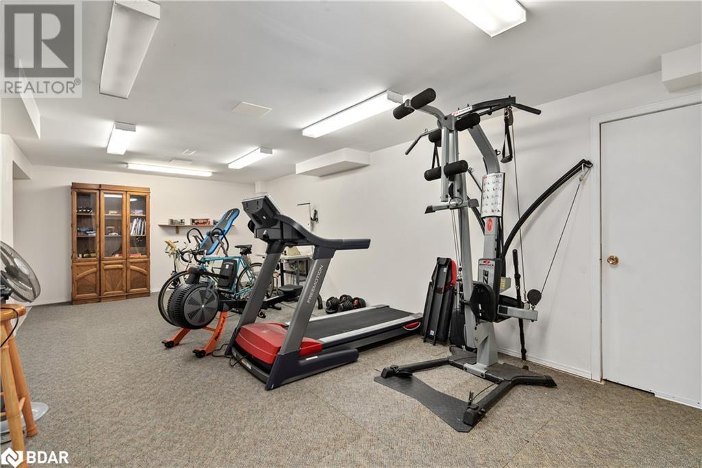 5884 7th Line Property Photo 40