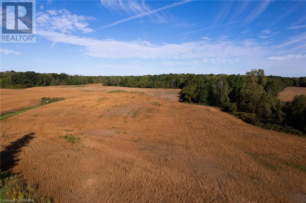 N/a 3rd Conc Road Property Photo 17