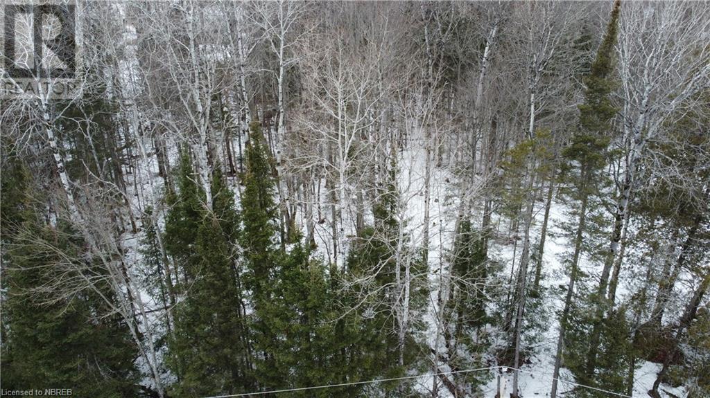 14 Riverside Drive Property Photo 5