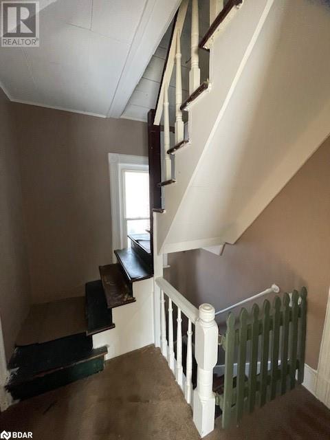 39 Poyntz Street Property Photo 47