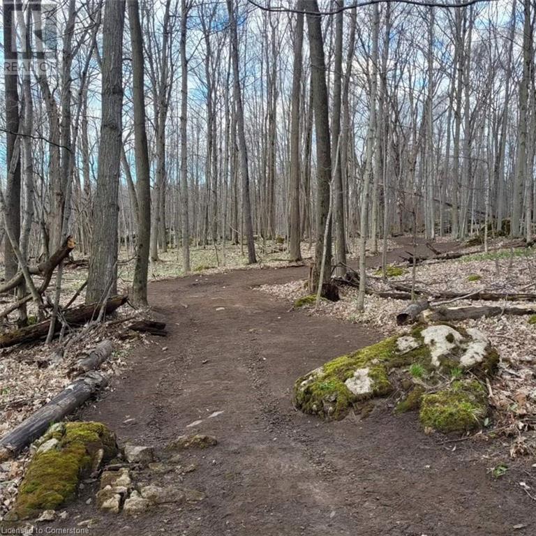 576799 Concession 9 Concession Property Photo 45