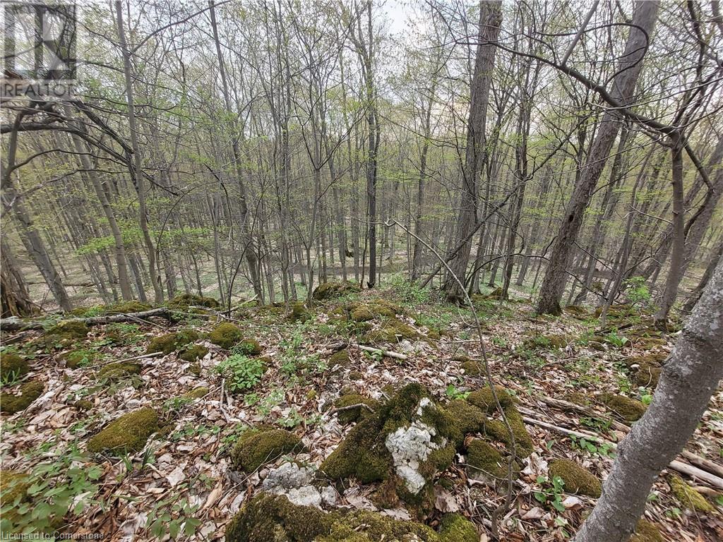 576799 Concession 9 Concession Property Photo 46