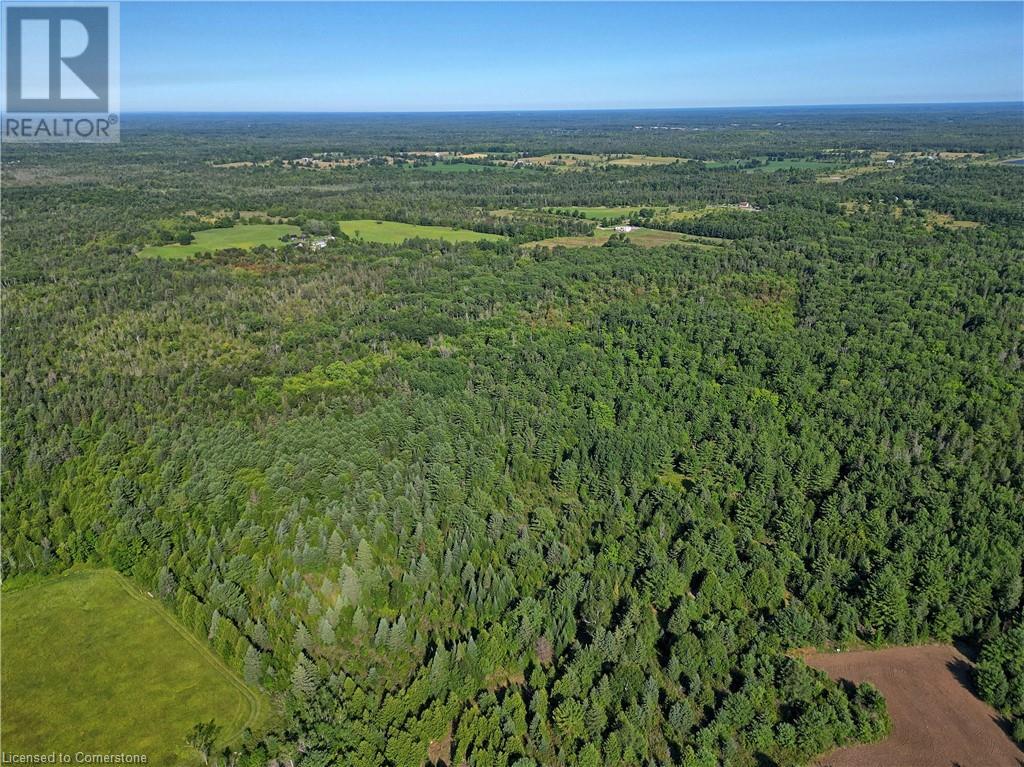 1058 Northline Road Property Photo 5