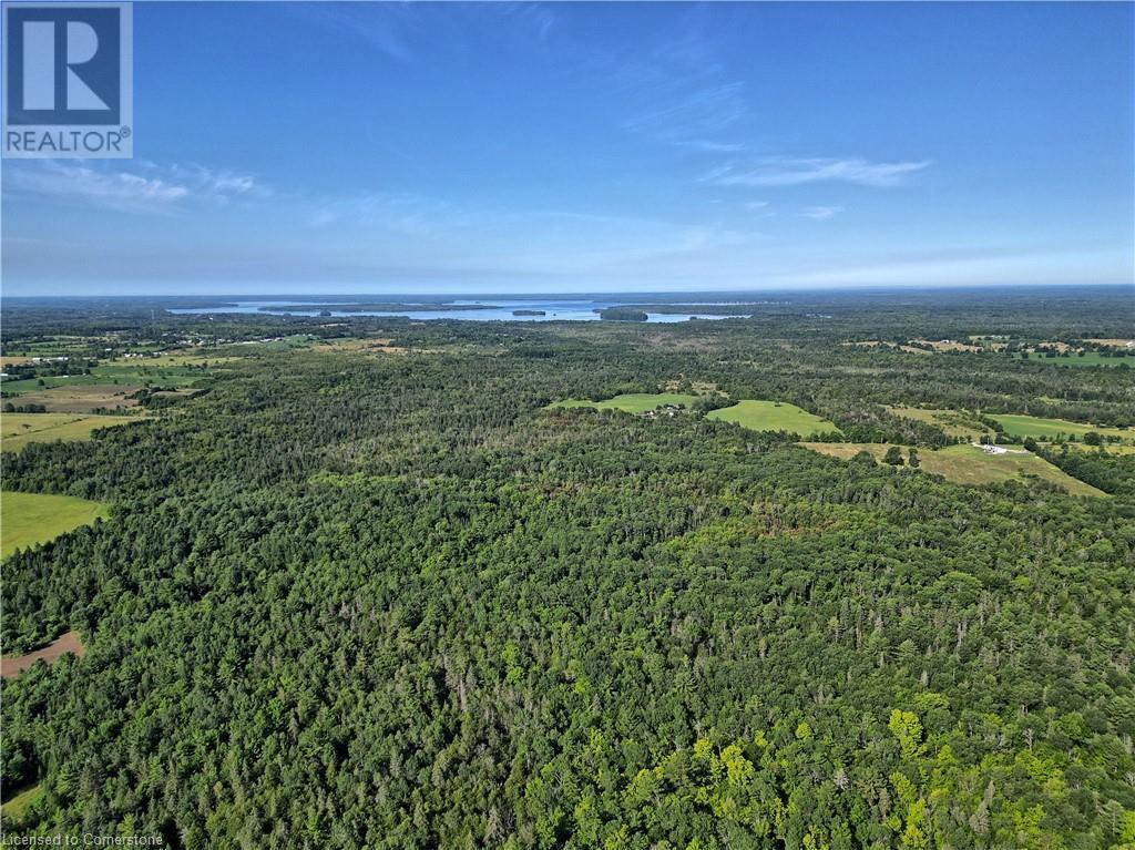 1058 Northline Road Property Photo 7