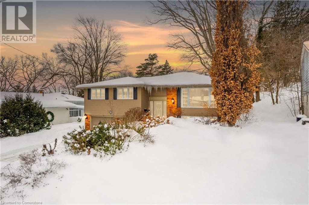 9 Martingrove Drive Property Photo