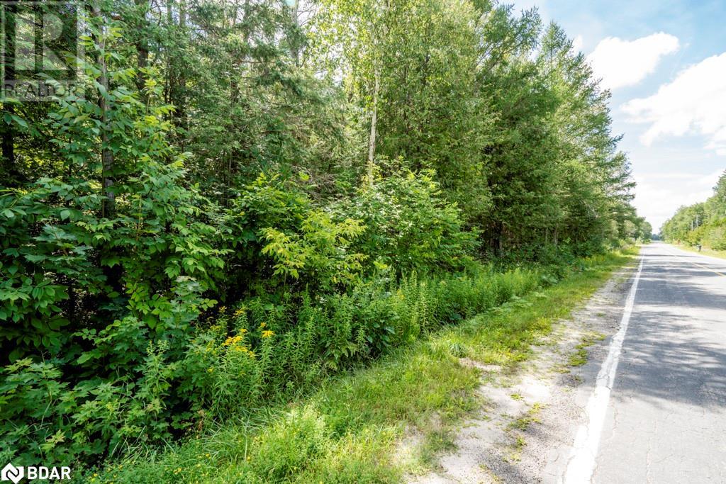 5349 30th Side Road Property Photo 8