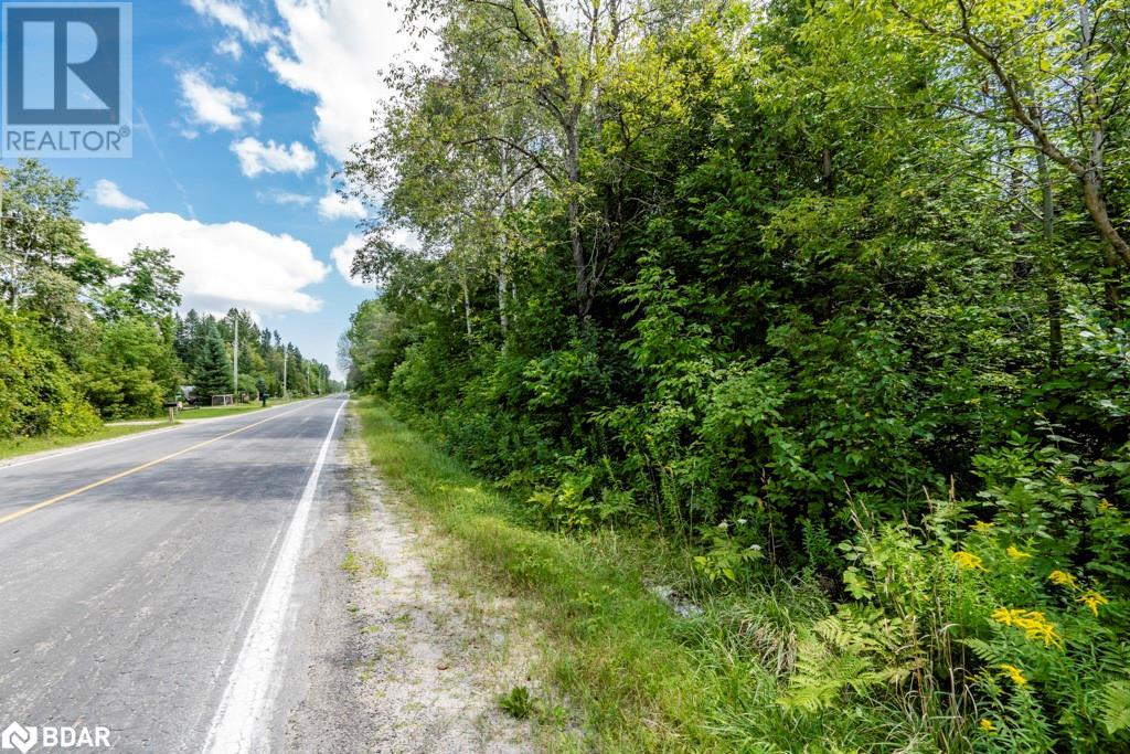 5349 30th Side Road Property Photo 9