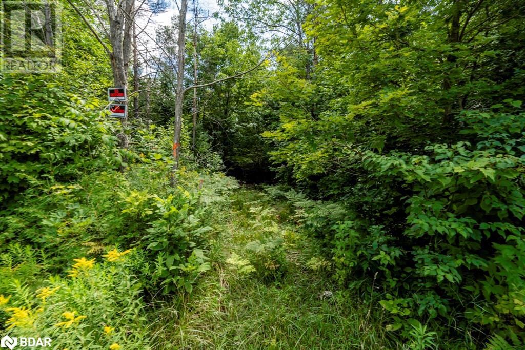 5349 30th Side Road Property Photo 10