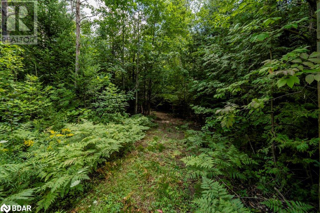 5349 30th Side Road Property Photo 11