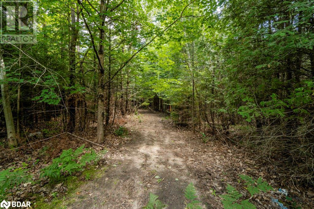 5349 30th Side Road Property Photo 12