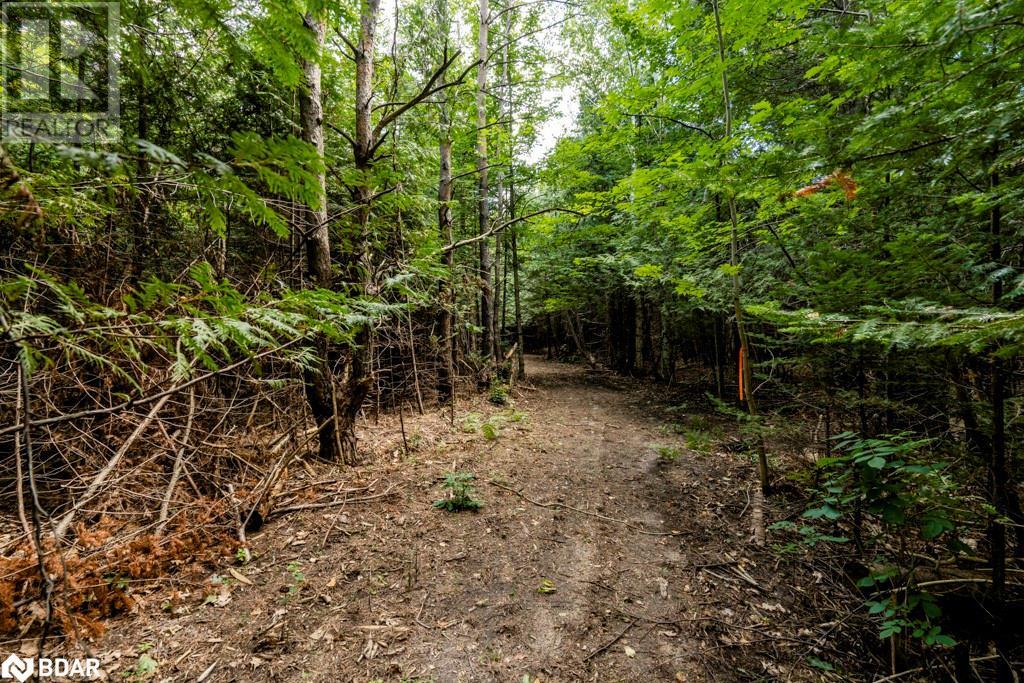 5349 30th Side Road Property Photo 13