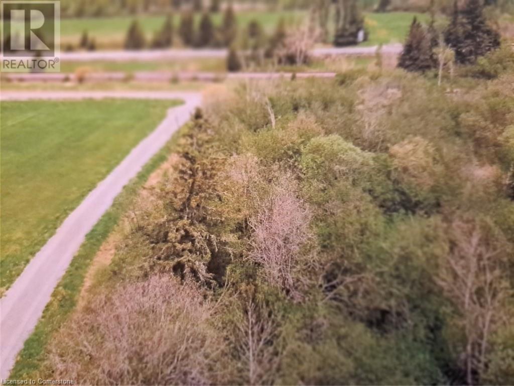 338 Old Hwy 17 Road Property Photo 1