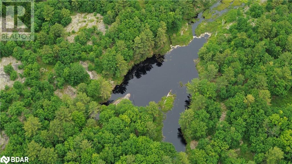 3950 Severn River Shore Property Photo 33