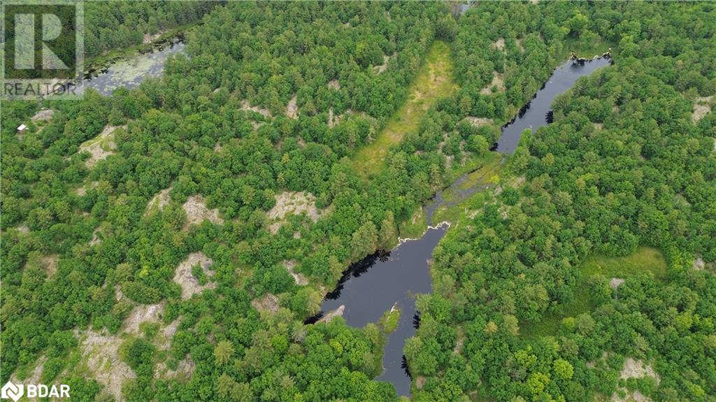 3950 Severn River Shore Property Photo 36
