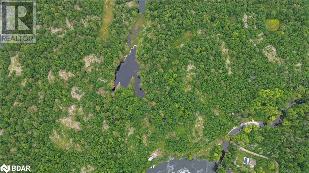 3950 Severn River Shore Property Photo 38
