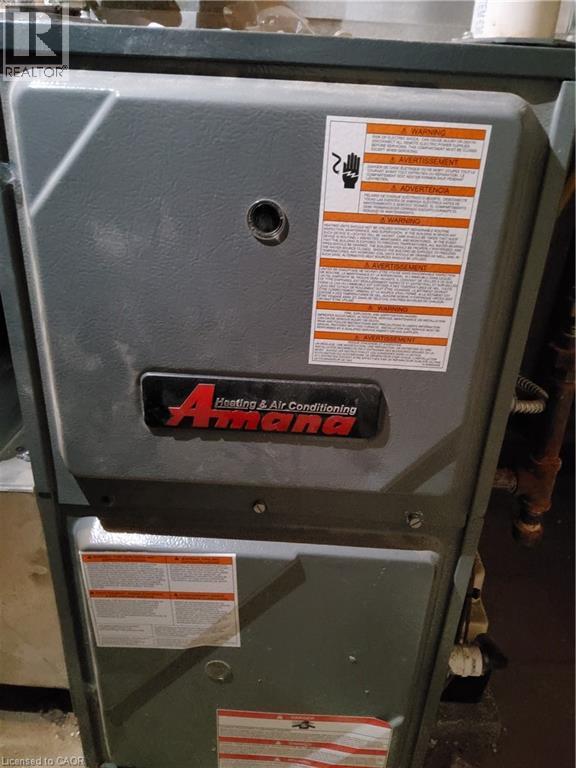 7 Usher Street Property Photo 21