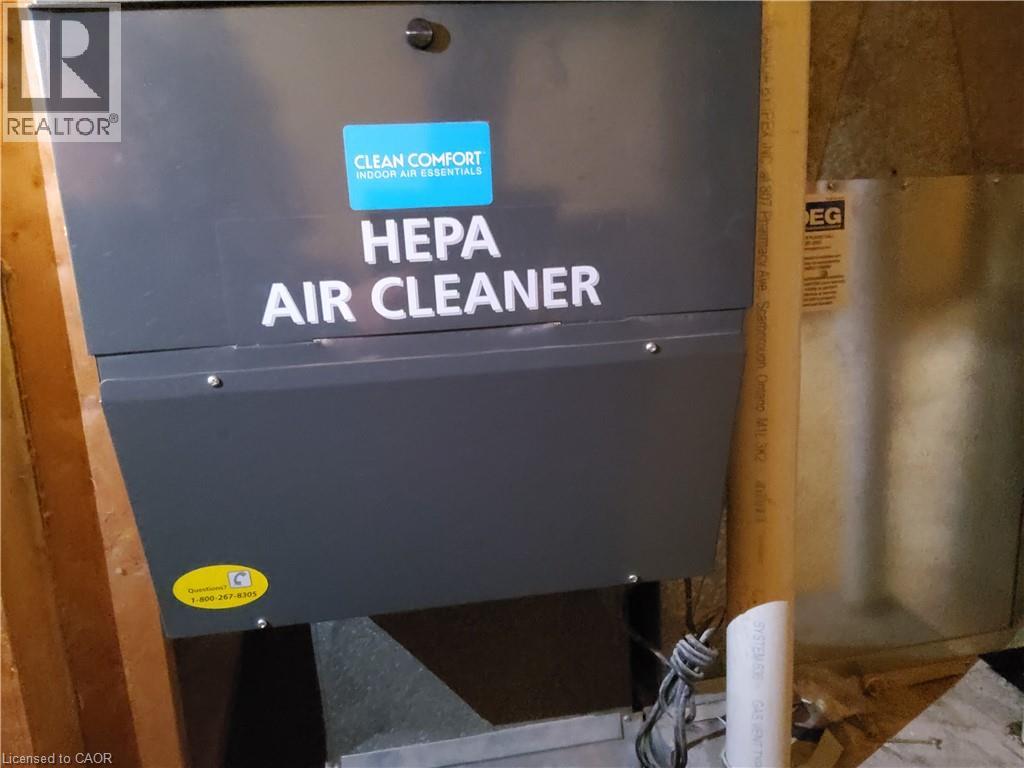 7 Usher Street Property Photo 22