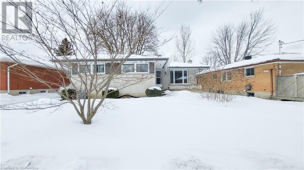 11 Duncairn Avenue Property Photo