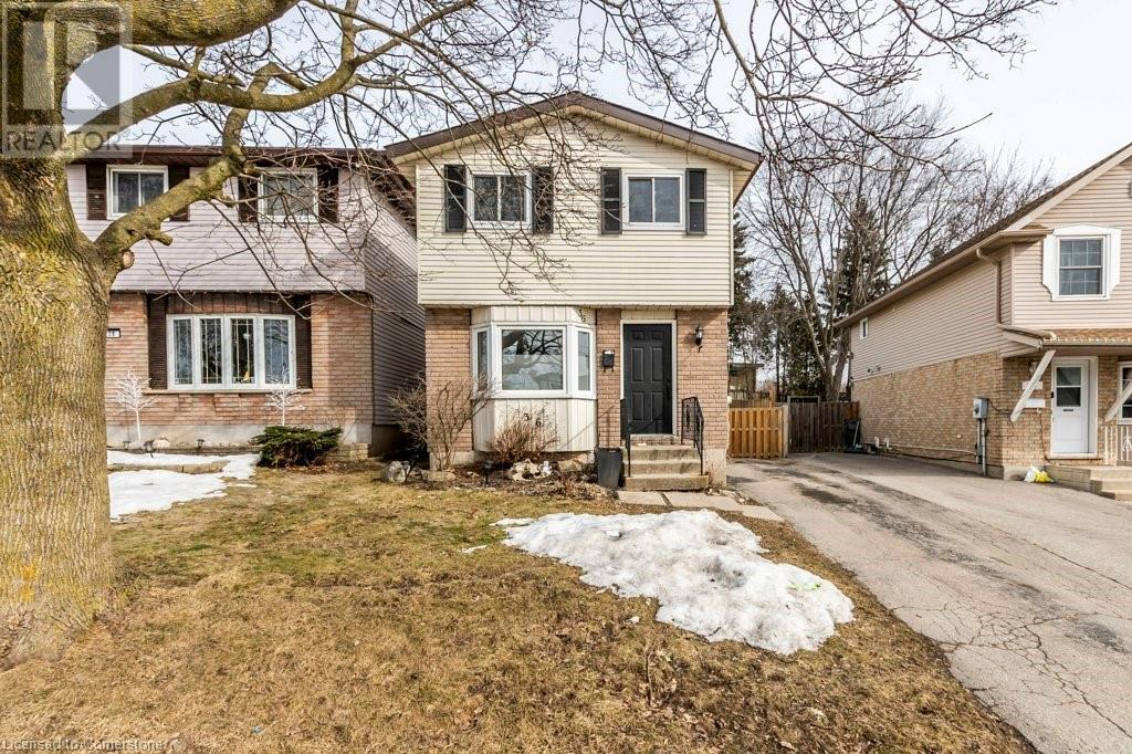 36 Carter Crescent Property Photo