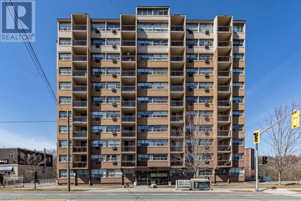 113 Ainslie Wood Real Estate Listings Main Image