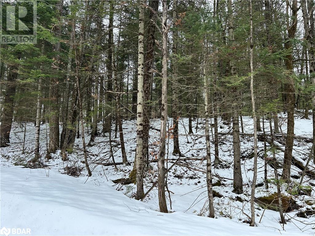 Bancroft Real Estate Listings Main Image