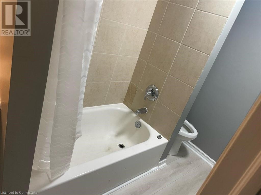 167 - 169 Wilson Street Property Photo 12