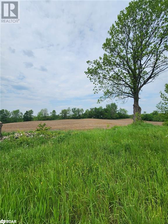 316486 Highway 6 Property Photo 1