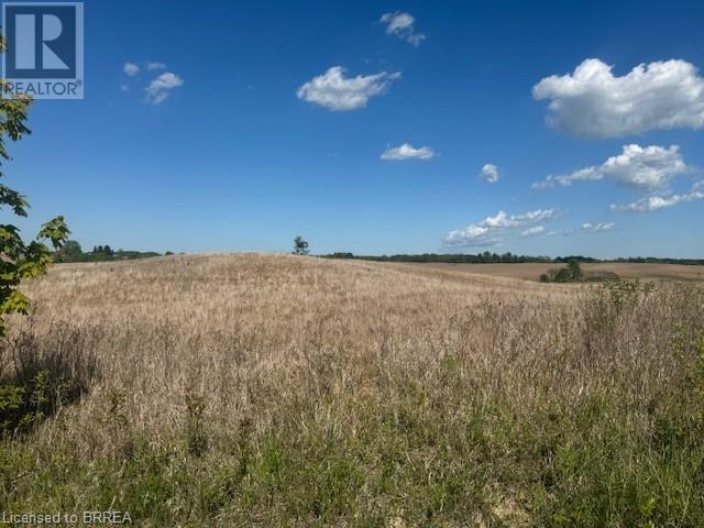 137 Sour Springs Road Property Photo 6