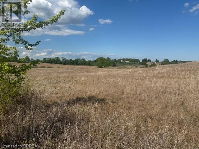 137 Sour Springs Road Property Photo 18