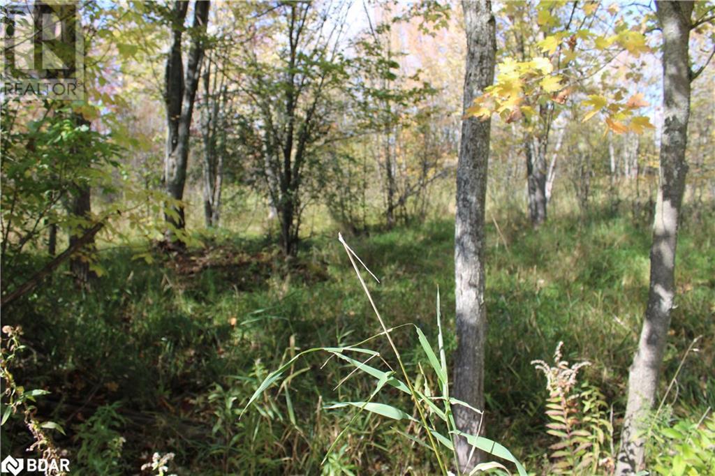 388 Woodland Drive Property Photo 12