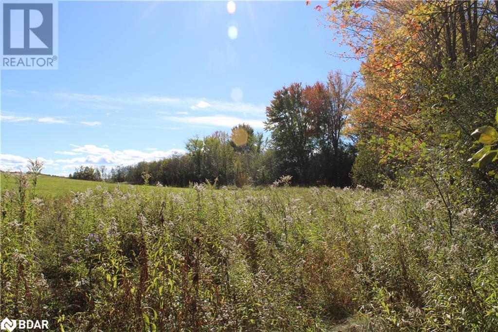 388 Woodland Drive Property Photo 13